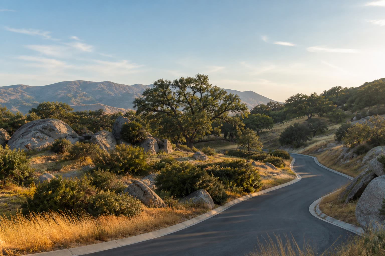 Concept: graded lots and new streets through oak foothills